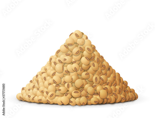Heap of raw soybeans, side view. Lots of ripe soy grain isolated on white background. Vector illustration for soya, agriculture, legume, farming, gastronomy, olericulture, healthy food, etc