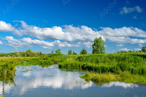 Landscape images of nature on a clear Sunny day near the village of Troitskoye, Samara region