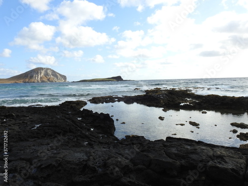 Hawaiian Coastal Landscape