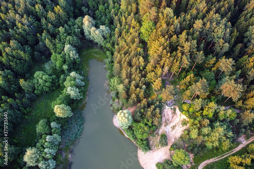 Summer landscape - green forest with tree tops and lake, aerial view. © mikeosphoto