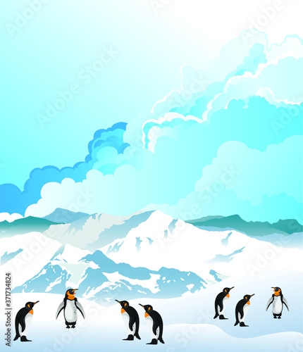 Colony of Antarctic penguins on snow covered Antarctica continent set against a blue cloudy sky