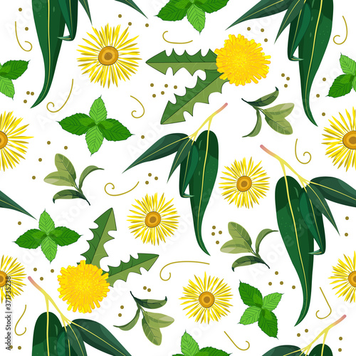 seamless pattern of herbs good for lungs health