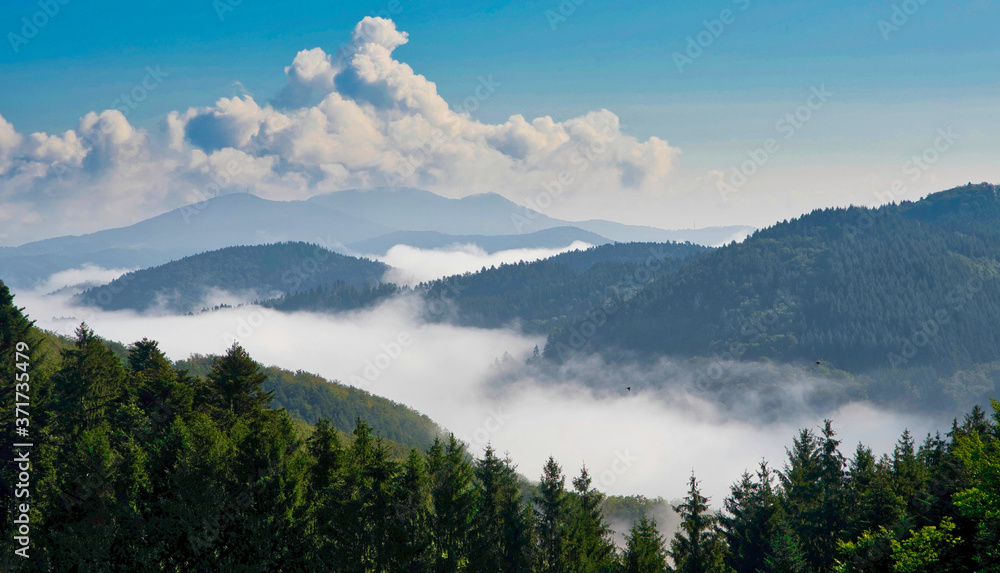 Schwarzwald mit Nebelschwaden im Tal