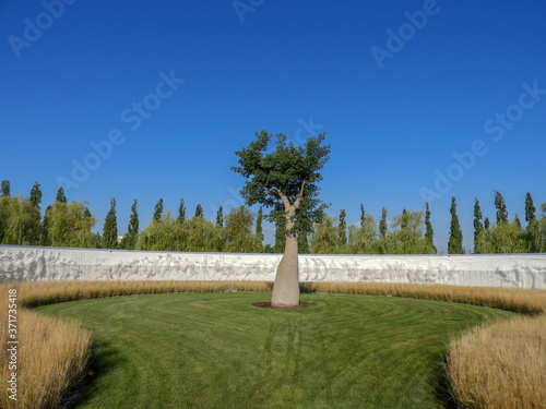 trees in the park