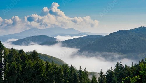 Schwarzwald mit Nebelschwaden im Tal © Tanja Voigt 