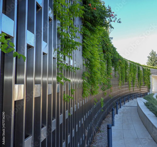 walkway in the park