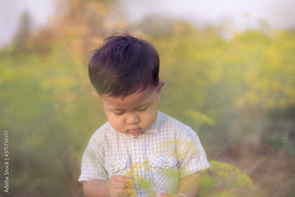 Asian little boy looking at flowers in the grass field Asian little boy looking at flowers in the grass field