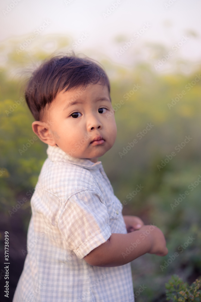 Asian little boy caught flowers looking at the camera in the grass field Asian little boy caught flowers looking at the camera in the grass field