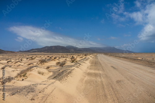 Fototapeta Naklejka Na Ścianę i Meble -  Deserted sandy expanses of the Jandia Peninsula and a dirt road going into the distance. Fuerteventura. Canary Islands. Spain.