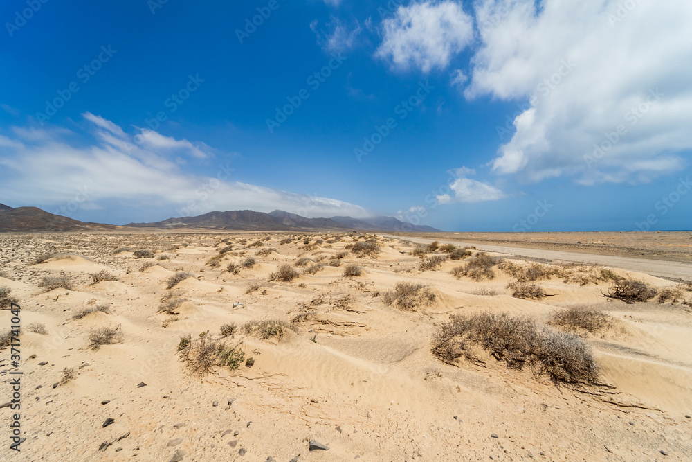 Deserted sandy expanses of the Jandia Peninsula. Fuerteventura. Canary Islands. Spain. Deserted sandy expanses of the Jandia Peninsula. Fuerteventura. Canary Islands. Spain.