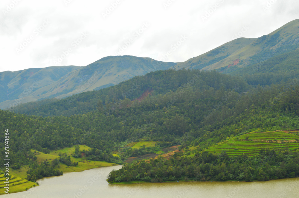 misty valley in Emerald Nilgiris