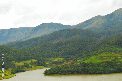 misty valley in Emerald Nilgiris © NNPhotos