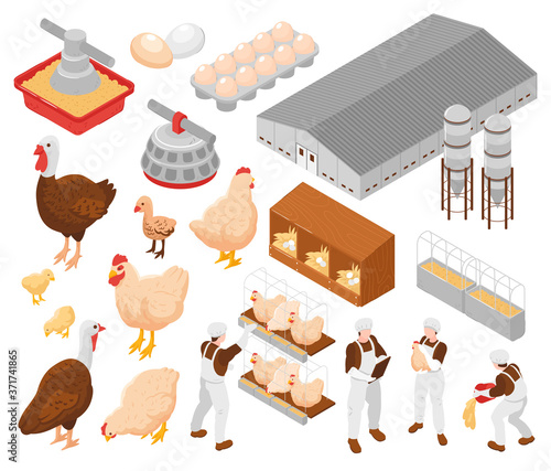 Obraz na plátně Poultry Farm Isometric Set