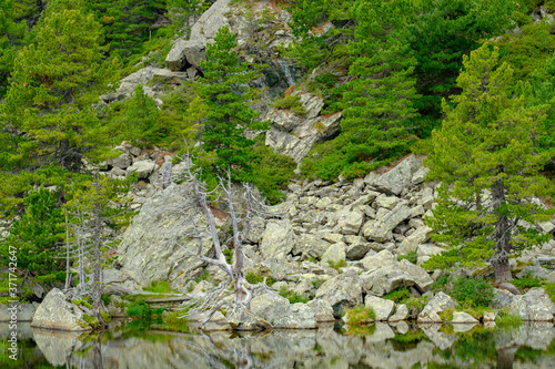 lake windebensee at the austrian mountain road nockalmstrasse photo