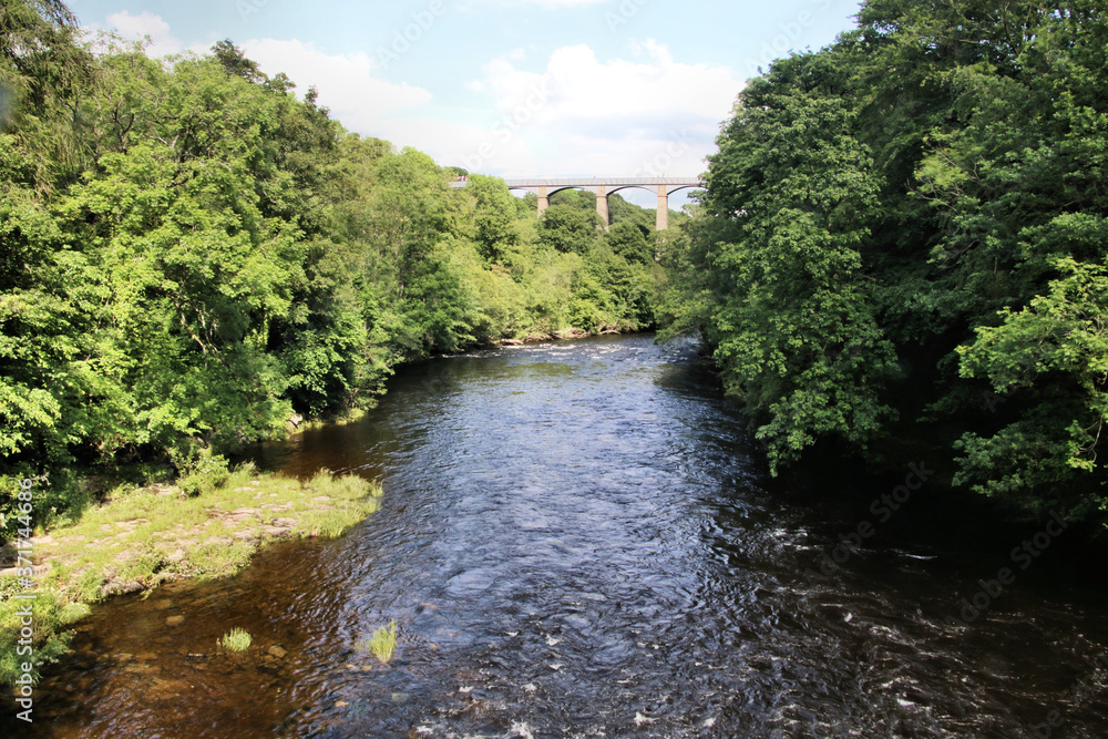 river in the forest at Pontcysyllte aqueduct river in the forest at Pontcysyllte aqueduct