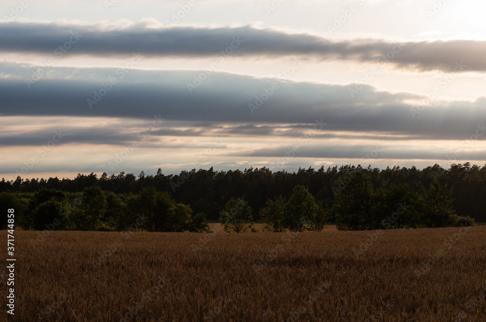 Landschaft im Sommer