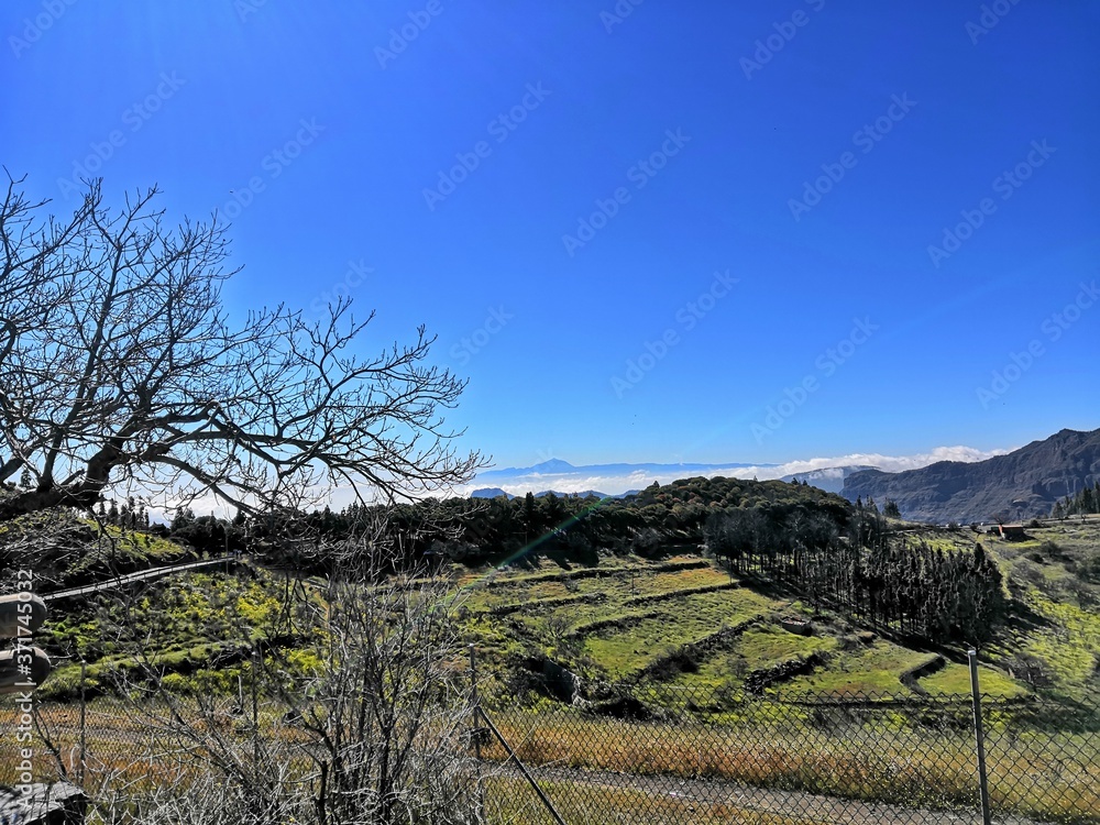 Naklejka premium rhdr