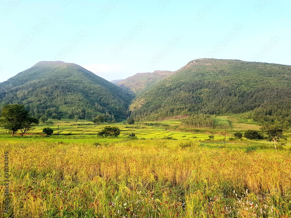 Fototapeta premium Nature lover's point in Araku Valley