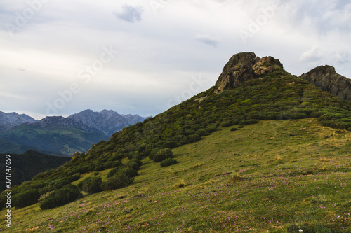 Detail of a mountain in the Picos de Europa with green soil
