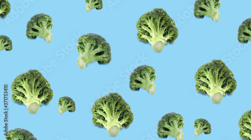 Pattern of fresh green broccoli on light blue background, banner design