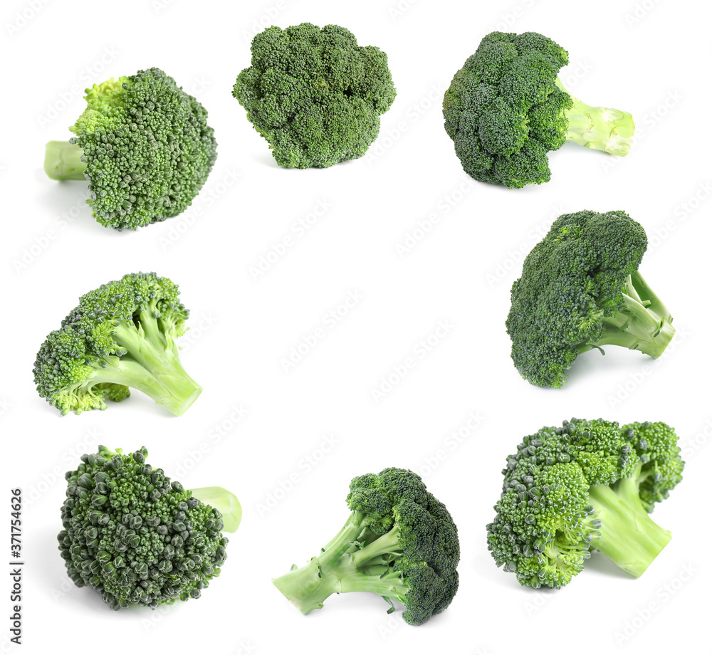 Frame of fresh green broccoli on white background Frame of fresh green broccoli on white background
