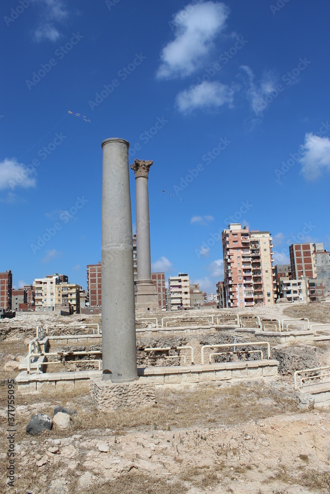 Serapeum and Pompey`s Pillar and the sphinx.
Serapeum and Pompey`s Pillar and the sphinx.