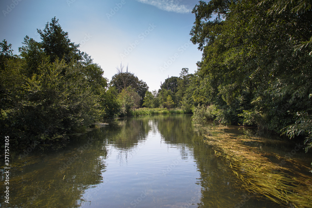 Views of the River Bure between Coltishall and the end of navigation, The Broads, Norfolk, UK