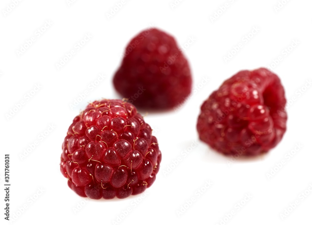 Raspberries, rubus idaeus against White Background Raspberries, rubus idaeus against White Background