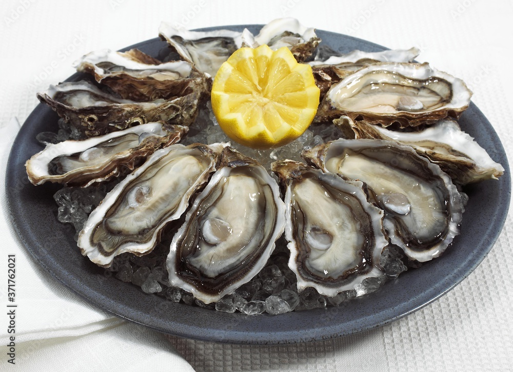 Plate with French Marennes d'Oleron Oysters, ostrea edulis and Lemon Plate with French Marennes d'Oleron Oysters, ostrea edulis and Lemon