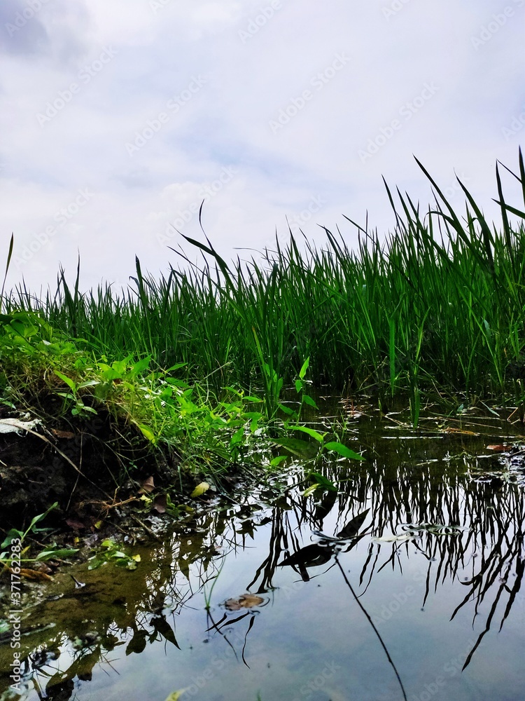 Obraz premium Beautiful Landscape with beautiful view and scenery