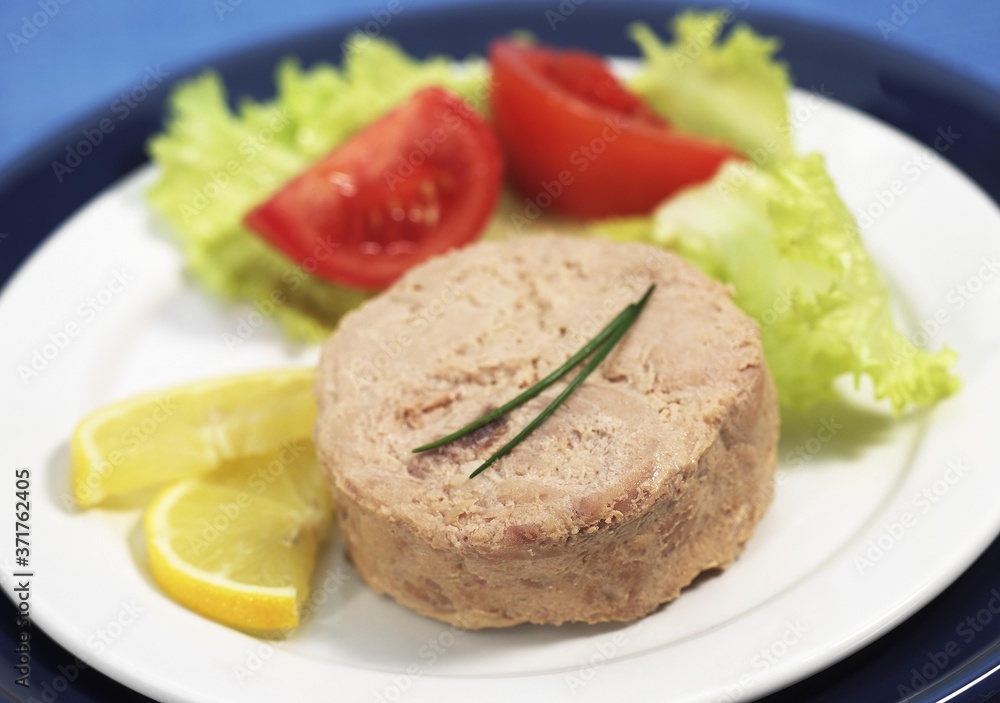 Salad Plate with Tuna Fish, Tomato and Lemon Salad Plate with Tuna Fish, Tomato and Lemon