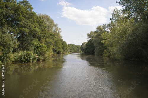 Entrance to Hoveton Little Broad on the River Bure  The Broads  Norfolk  UK