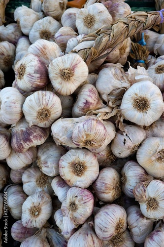 Garlic, allium savitum at Vegetable Market in Normandy
