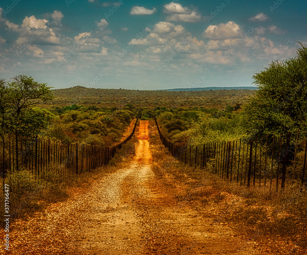 dirt road african landscape