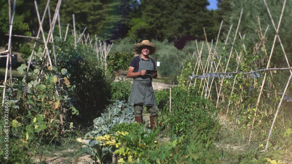 Portrait of a technological farmer checking the quality of organic vegetables on a digital tablet and looking at camera in a vegetable garden. Portrait of a technological farmer checking the quality of organic vegetables on a digital tablet and looking at camera in a vegetable garden.