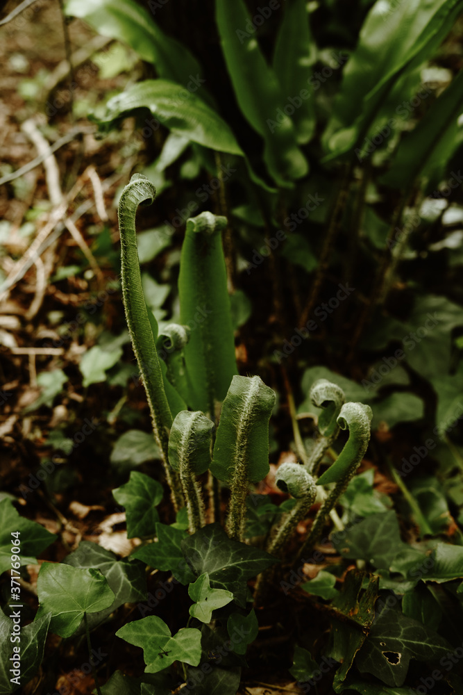 Naklejka premium Yoga and Mindfulness in the Alps