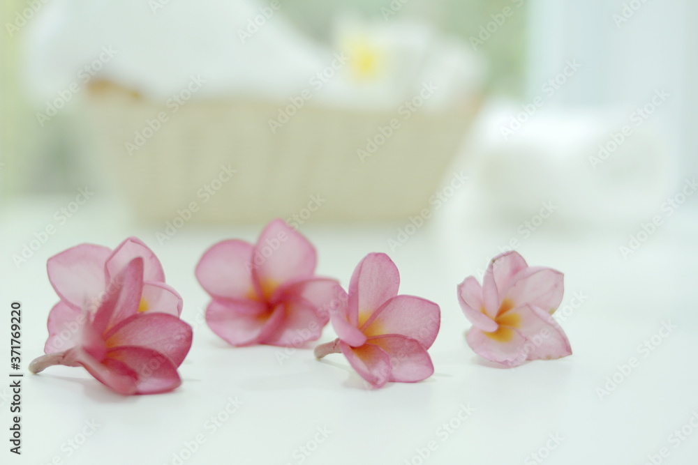 Plumeria flower spa concept