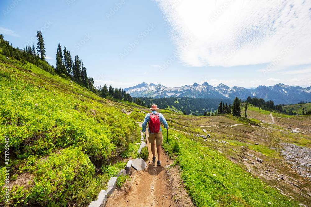 Fototapeta premium Summer hike