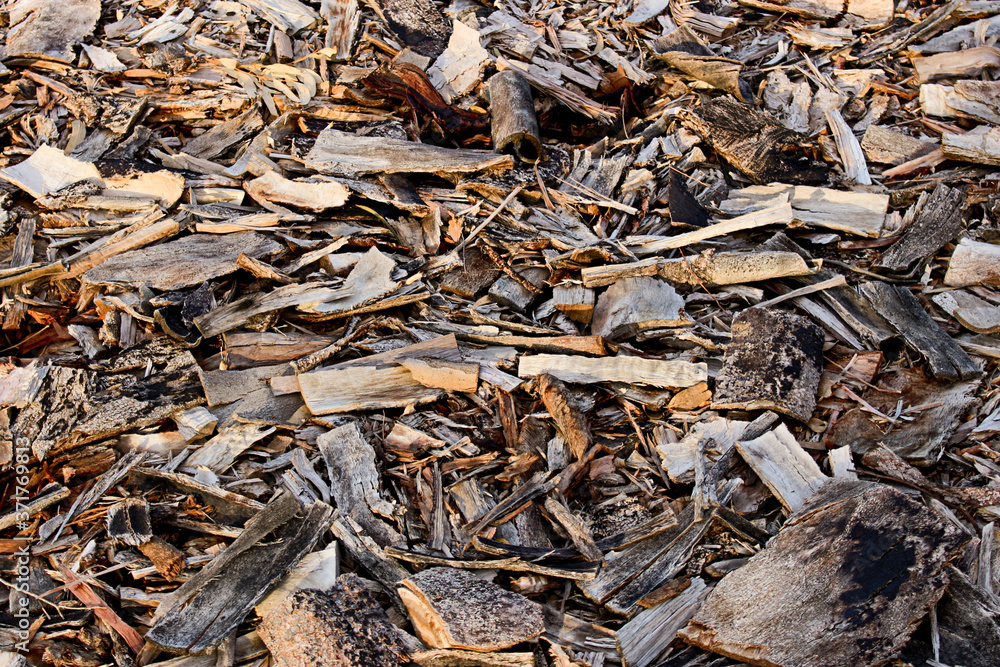 Wood chips and bark Wood chips and bark