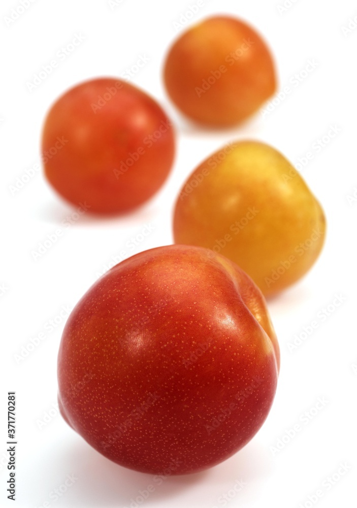Yellow Plums against White Background Yellow Plums against White Background