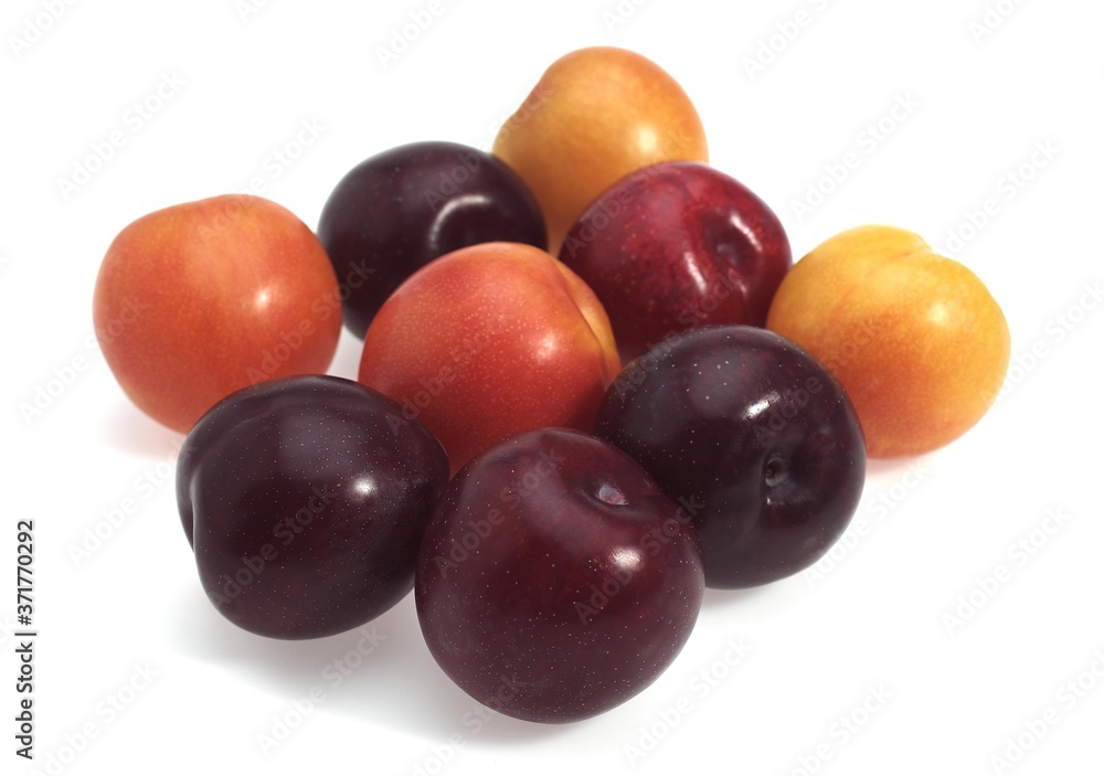 Red and Yellow Plums against White Background Red and Yellow Plums against White Background