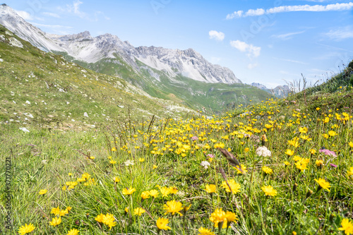 Beautiful alpine landscape © robertdering
