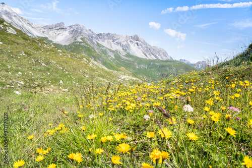 Beautiful alpine landscape