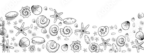 Seashells, snails, starfish, rapanas. Outline hand drawing. Isolated vector object on white background. Inhabitants of the ocean floor.