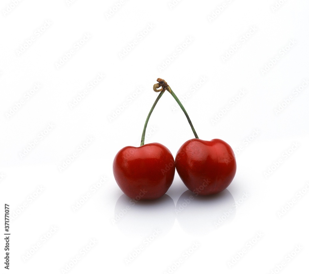 Cherries against White Background Cherries against White Background