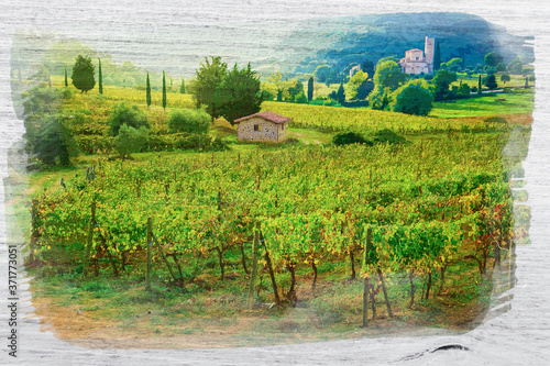 Watercolor of vineyards in ...