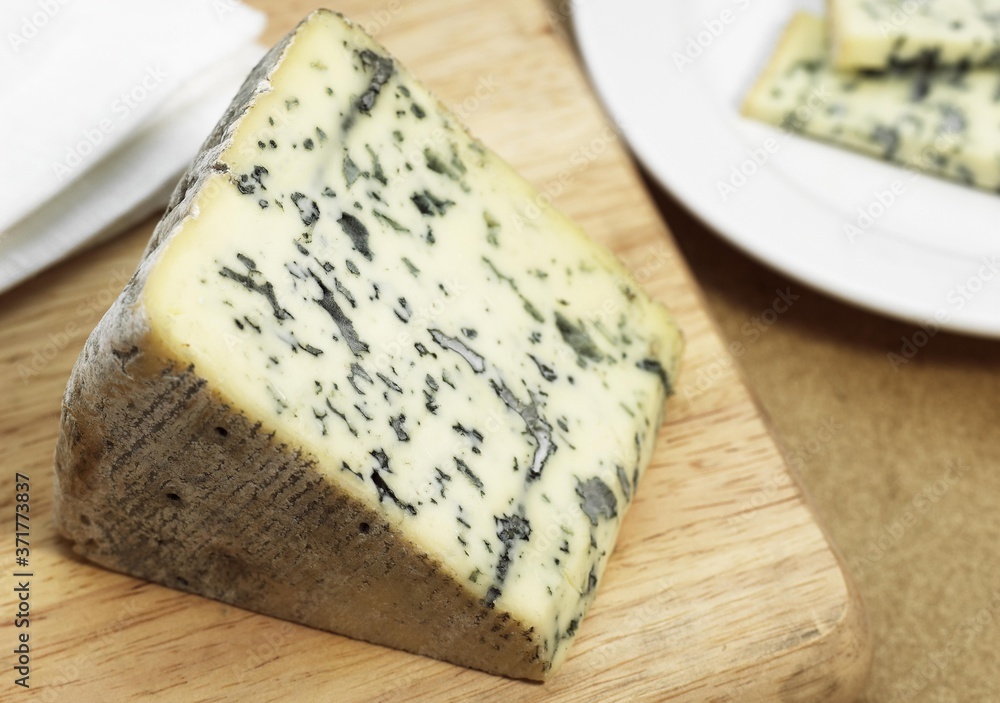 Bleu des Causses, a French Cheese produced from Cow's Milk in Aveyron Bleu des Causses, a French Cheese produced from Cow's Milk in Aveyron