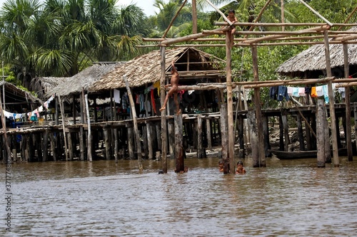 Warao's House, Idians Living in Orinoco Delta in Venezuela photo