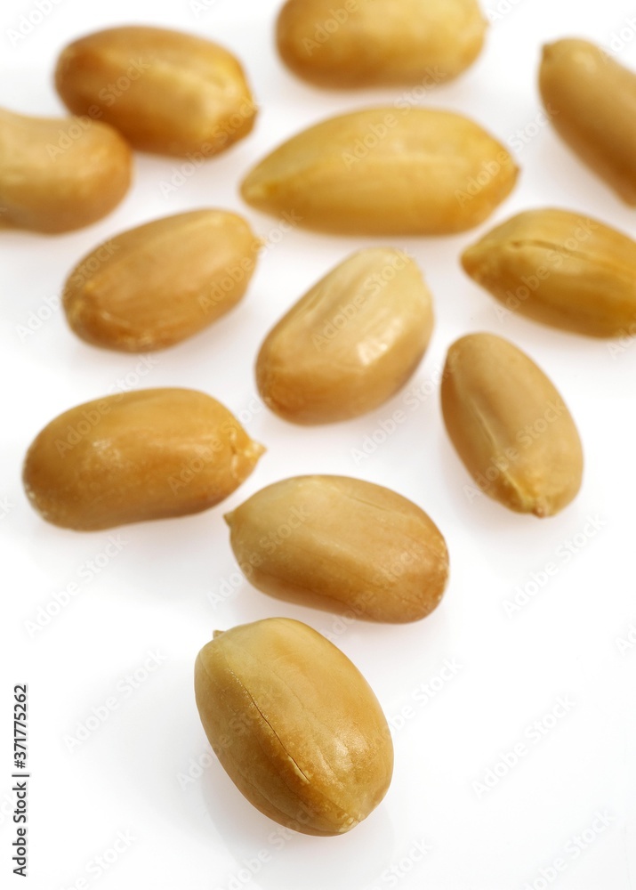 Peanuts, arachis hypogaea against White Background Peanuts, arachis hypogaea against White Background