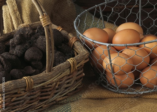 Tableau sur toile Eggs and Perigord Truffle, tuber melanosporum